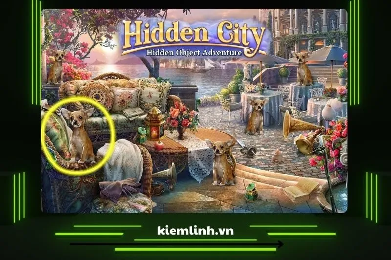 Hidden City