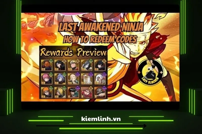 Last Awakened Ninja